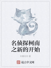 名侦探柯南之新的开始