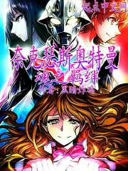 奈克瑟斯奥特曼之魂之羁绊