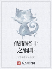 假面骑士之钢斗