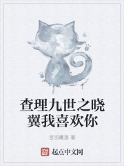 查理九世之晓翼我喜欢你